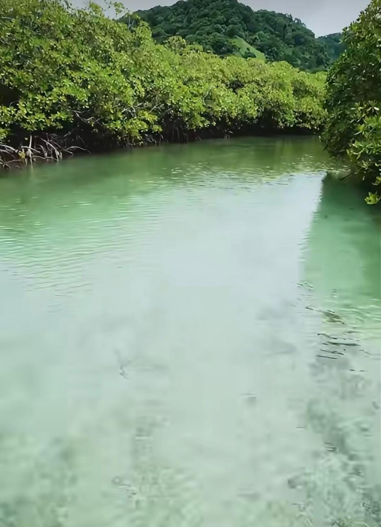 Ranchos De Chalia Panama Hotel Portobelo Eksteriør billede
