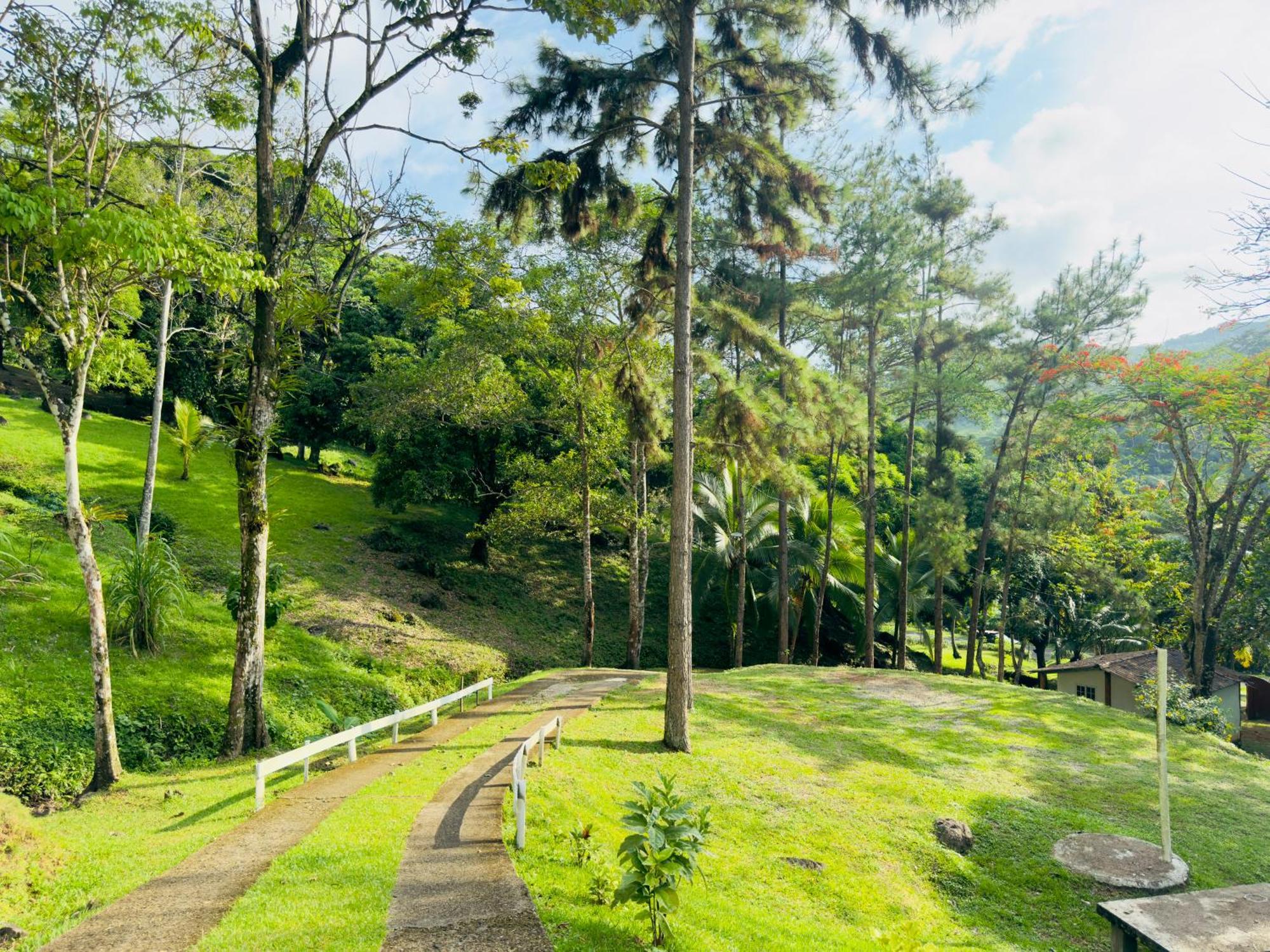 Ranchos De Chalia Panama Hotel Portobelo Eksteriør billede